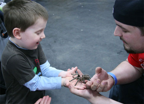 ERAS Tarantula